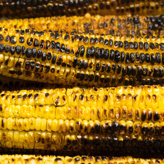 Roasted Corn