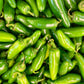 Jalapeno Peppers